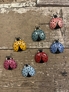 SPILLA COCCINELLA DONNA SONATA